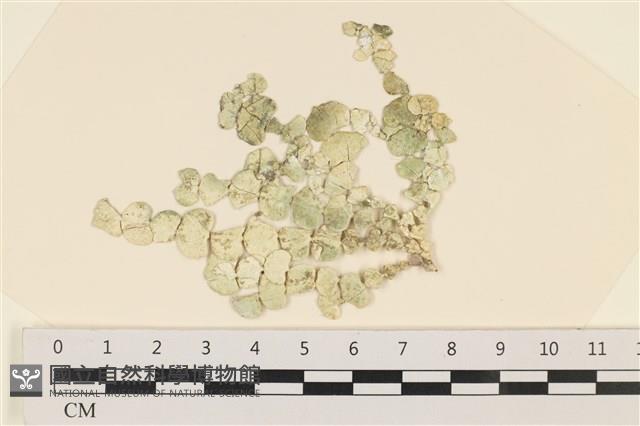 登錄號:A00005013藏品圖，第1張