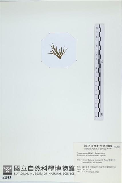 登錄號:A00002513藏品圖，第3張