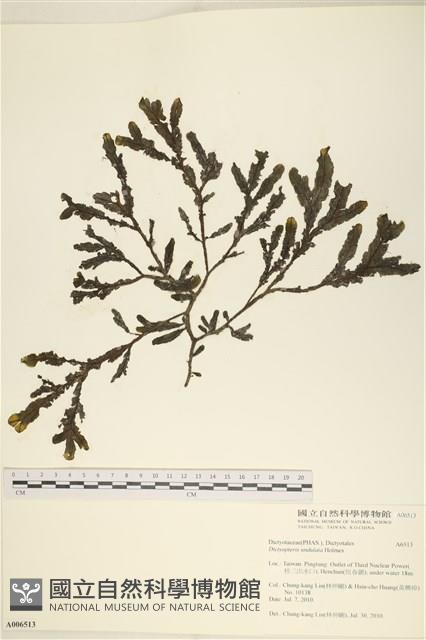 登錄號:A00006513藏品圖，第1張
