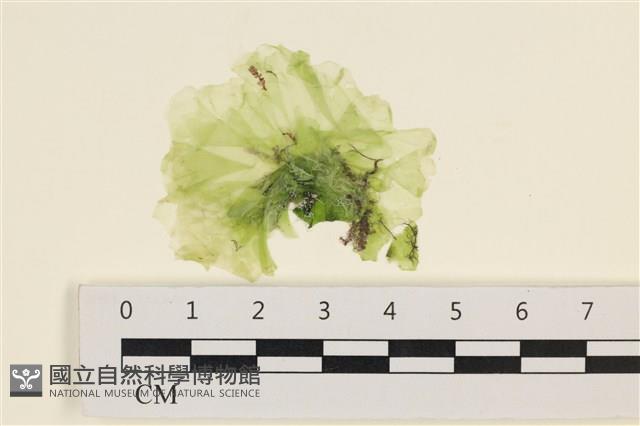 Accession Number:A00001413 Collection Image, Figure 1, Total 3 Figures