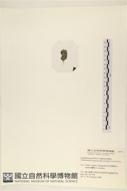 登錄號:A00003413藏品圖，第3張