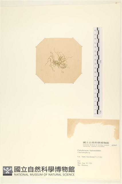 登錄號:A00003643藏品圖，第3張