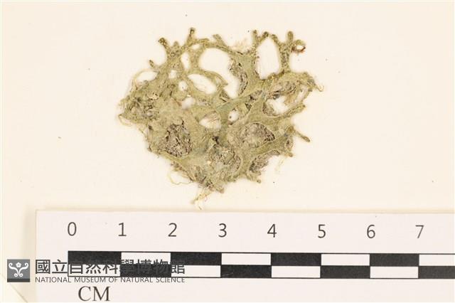 登錄號:A00002443藏品圖，第1張