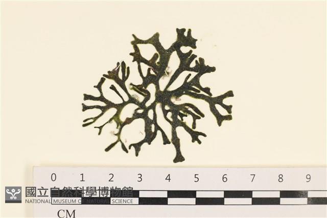 登錄號:A00001443藏品圖，第1張