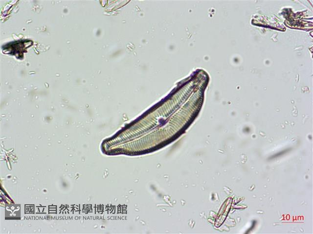 登錄號:A00004663藏品圖，第3張