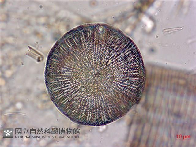 登錄號:A00004563藏品圖，第4張