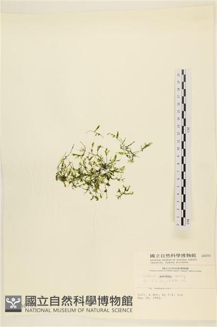 登錄號:A00000763藏品圖，第1張
