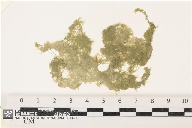 登錄號:A00002203藏品圖，第1張