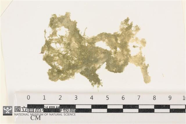 登錄號:A00003403藏品圖，第1張