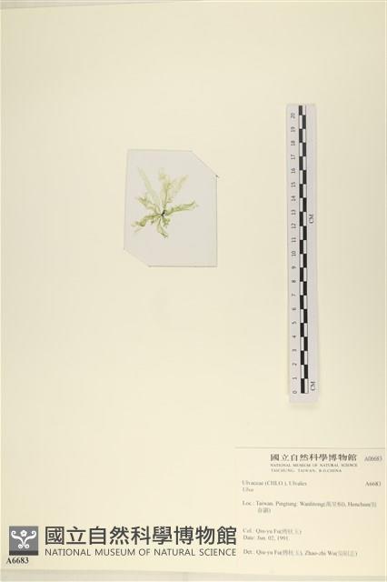 登錄號:A00006683藏品圖，第3張