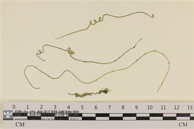 Accession Number:A00000083 Collection Image, Figure 1, Total 3 Figures