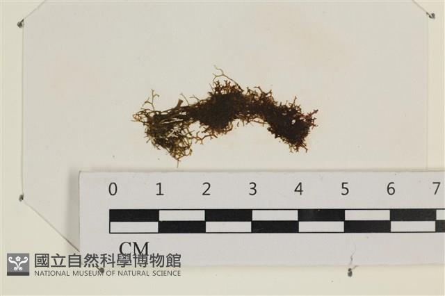 登錄號:A00002483藏品圖，第1張