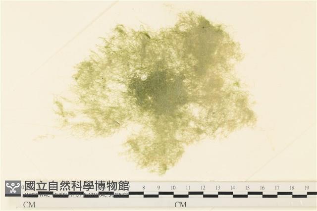 登錄號:A00001383藏品圖，第1張