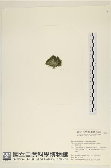 登錄號:A00005783藏品圖，第3張