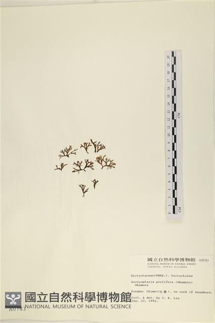 登錄號:A00000783藏品圖，第3張