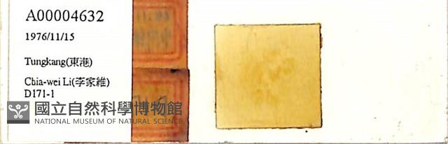 登錄號:A00004632藏品圖，第1張