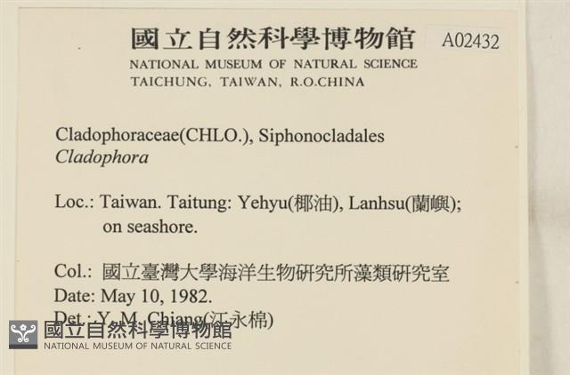 登錄號:A00002432藏品圖，第2張