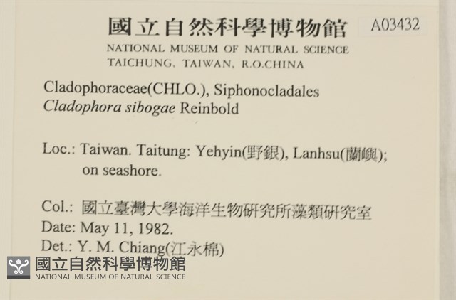 登錄號:A00003432藏品圖，第2張