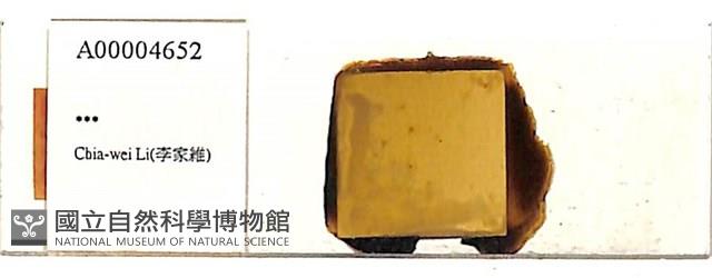 登錄號:A00004652藏品圖，第1張