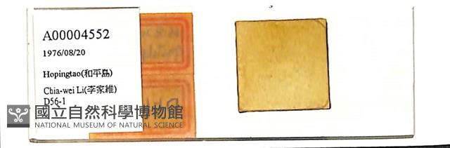 登錄號:A00004552藏品圖，第1張