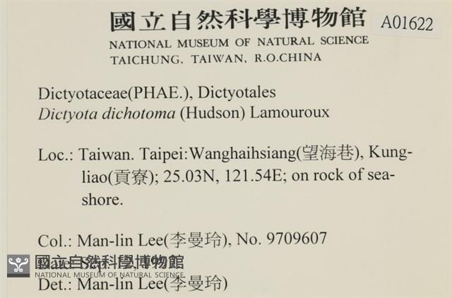 網目藻藏品圖，第2張