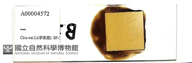 登錄號:A00004572藏品圖，第1張