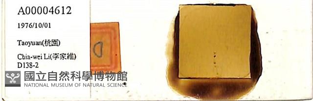 登錄號:A00004612藏品圖，第1張