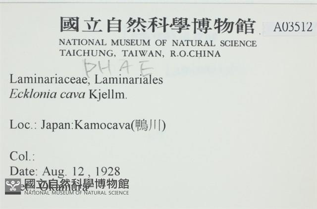 登錄號:A00003512藏品圖，第2張