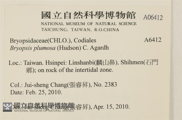 登錄號:A00006412藏品圖，第2張