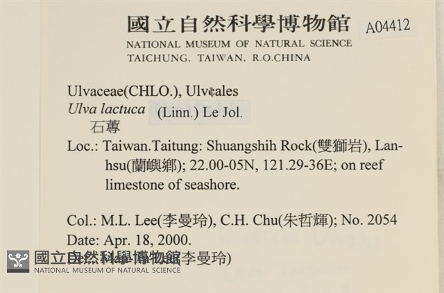 大石蓴, 石蓴藏品圖，第2張