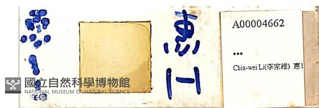 登錄號:A00004662藏品圖，第1張