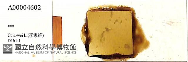 登錄號:A00004602藏品圖，第1張