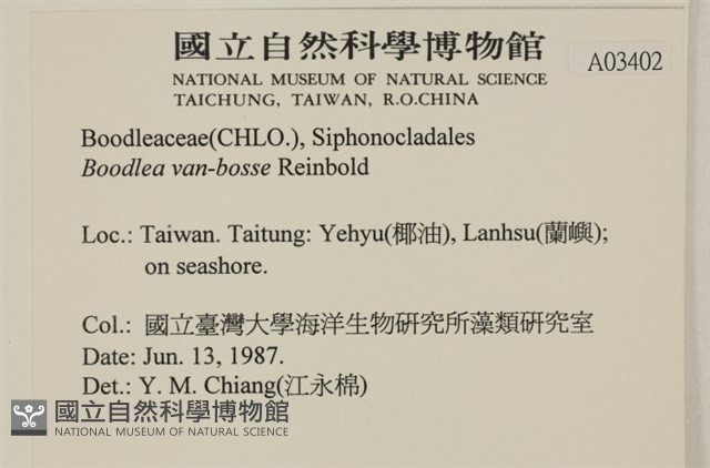 登錄號:A00003402藏品圖，第2張