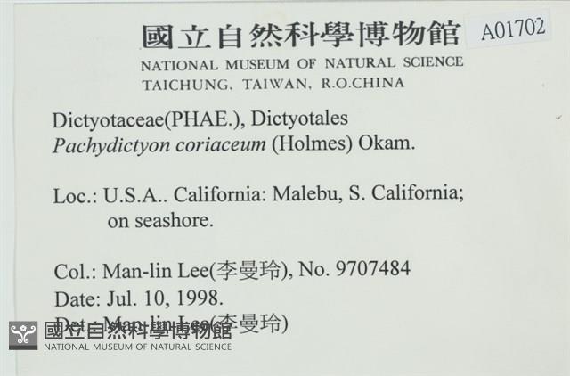 厚網目藻藏品圖，第2張