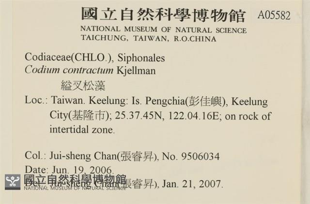 登錄號:A00005582藏品圖，第2張
