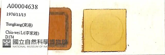 登錄號:A00004638藏品圖，第1張