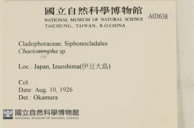 登錄號:A00003638藏品圖，第2張