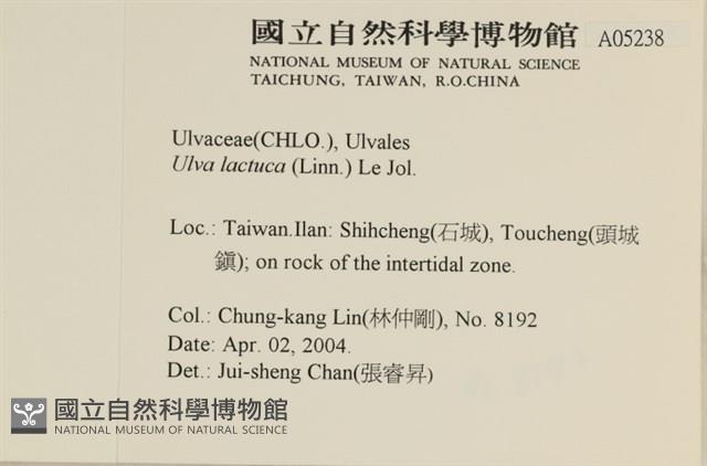 大石蓴, 石蓴藏品圖，第2張