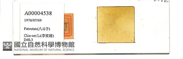 登錄號:A00004538藏品圖，第1張