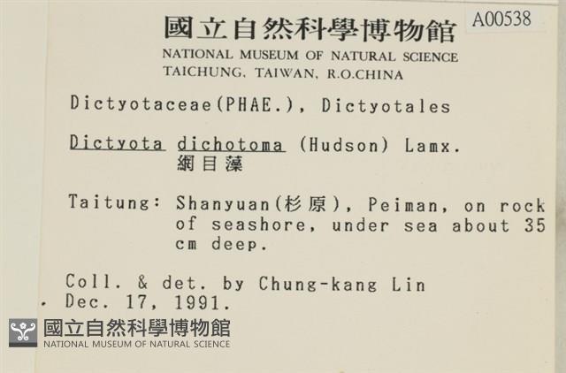 網目藻藏品圖，第2張