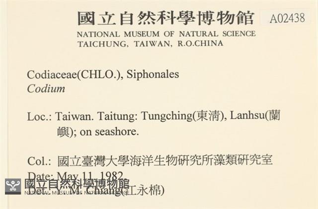 登錄號:A00002438藏品圖，第2張