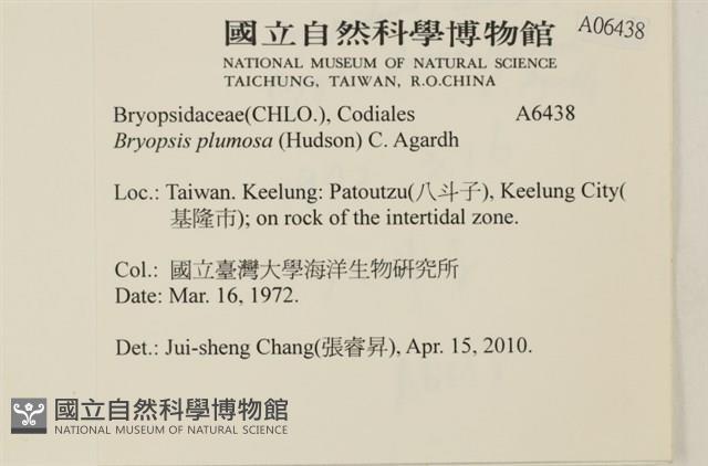 登錄號:A00006438藏品圖，第2張