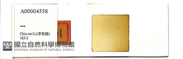 登錄號:A00004558藏品圖，第1張