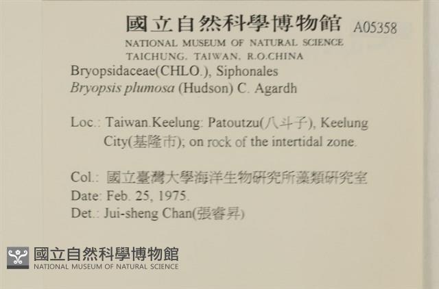 登錄號:A00005358藏品圖，第2張