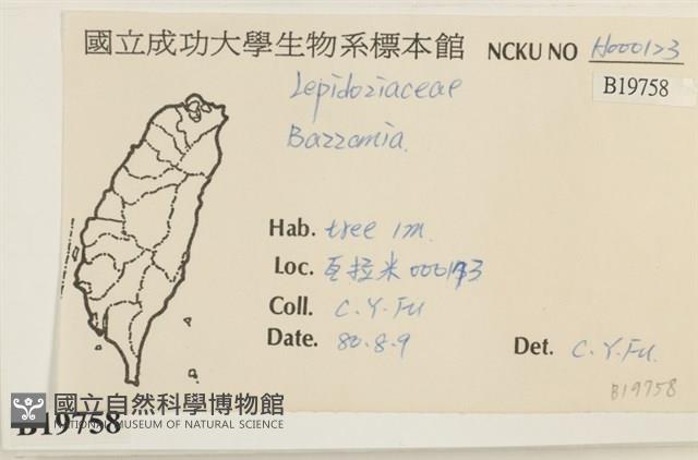 登錄號:B00019758藏品圖，第2張