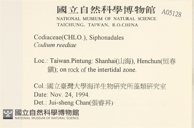 登錄號:A00005128藏品圖，第2張