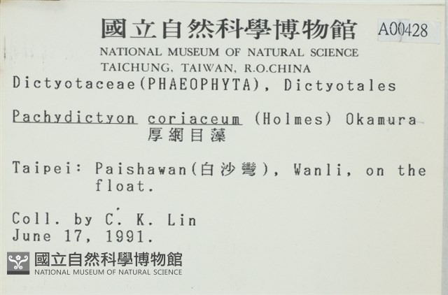 厚網目藻藏品圖，第2張
