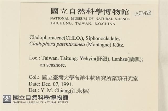 登錄號:A00003428藏品圖，第2張