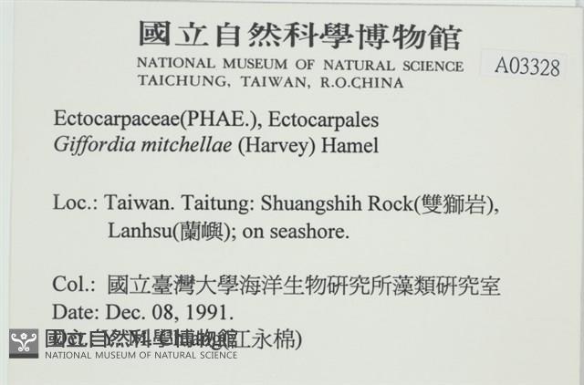 登錄號:A00003328藏品圖，第2張