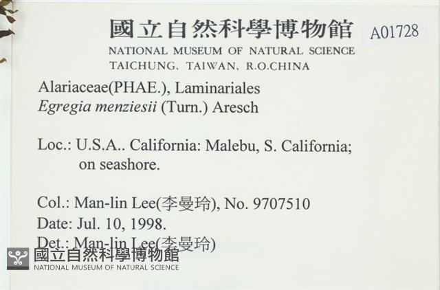 登錄號:A00001728藏品圖，第2張